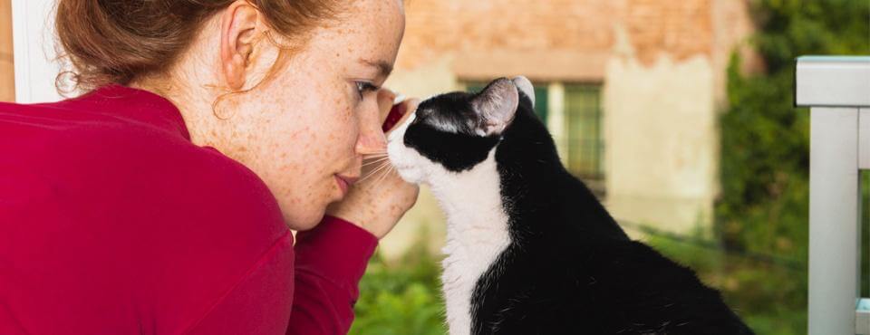 Kattens aldring: Sådan kan du give kærlig pleje til din seniorkat