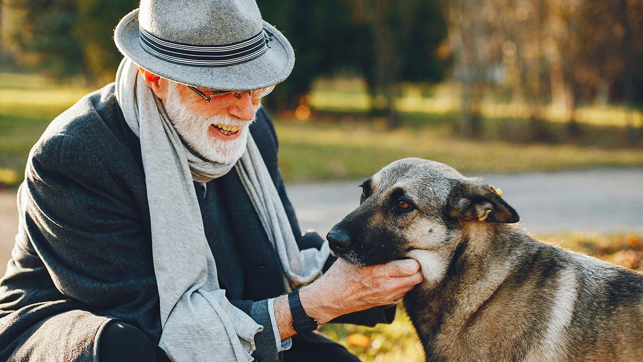 Pasning af ældre og handicappede kæledyr