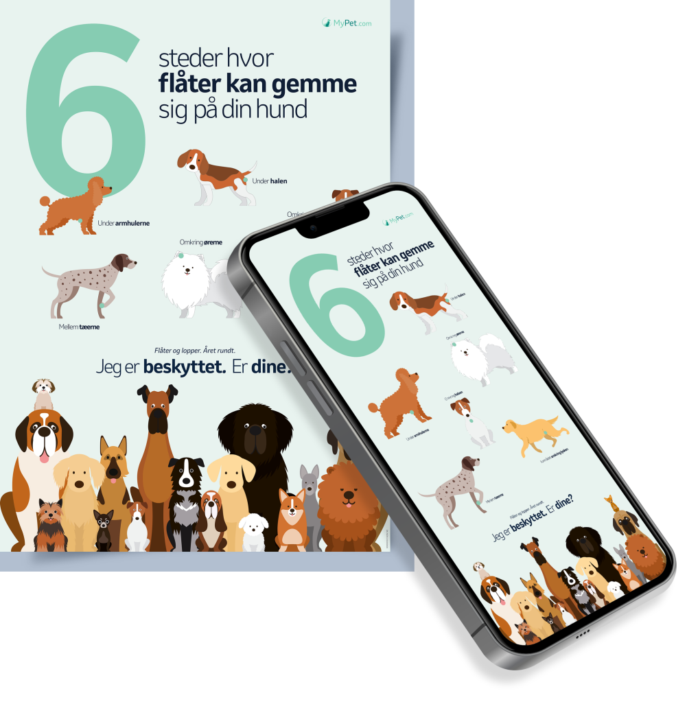 Guide_og_telefon